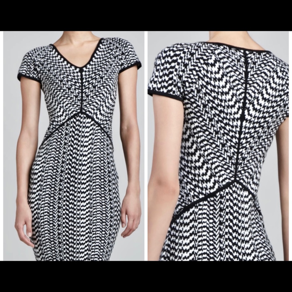 Narcisco Rodriguez Optical Print Jaquard Dress